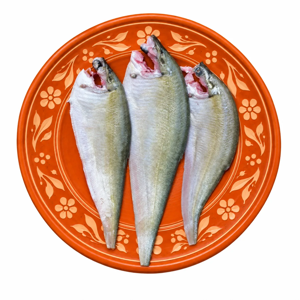 ফলি মাছ